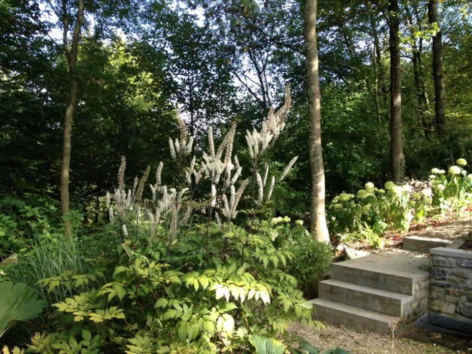 Ardenne Bnb มาร์ช-อ็อง-เฟเมน ภายนอก รูปภาพ